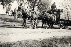 Horses and wagon