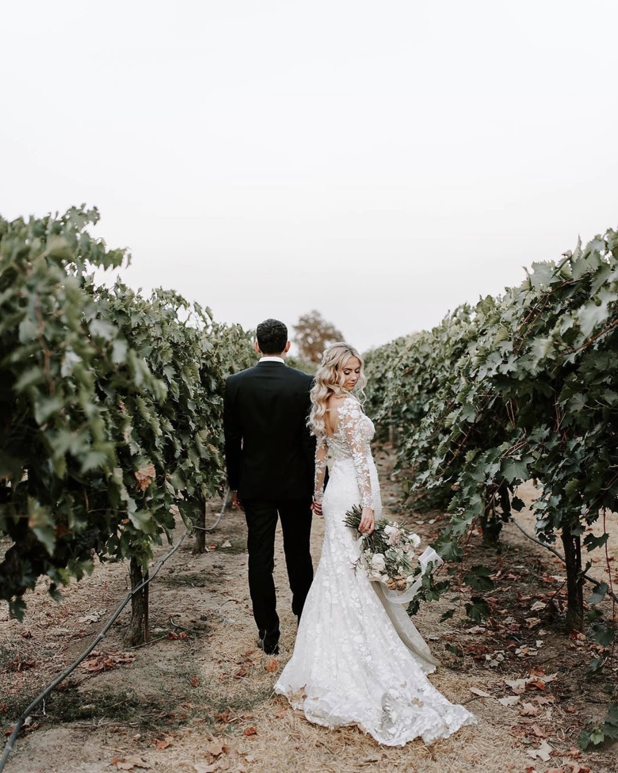 Image of a bride and a groom walking in a vineyard
